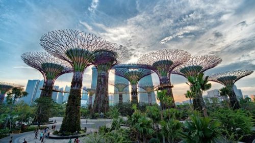 Tham quan vườn nhân tạo Gardens by the Bay tại Singapore